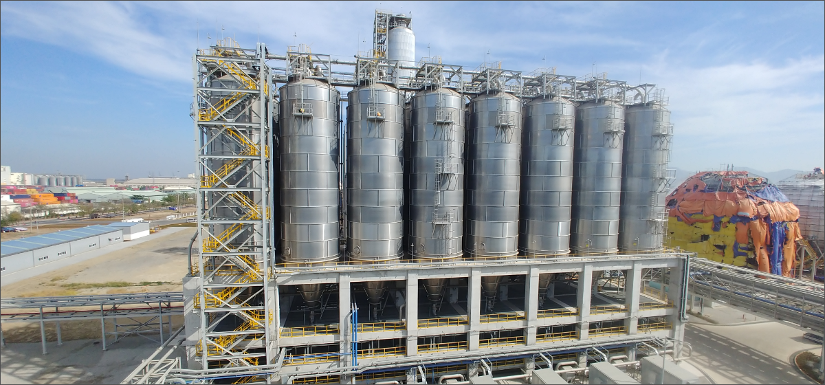 Sizing Logic and Decision-Making Processes for Bulk Solids Handling